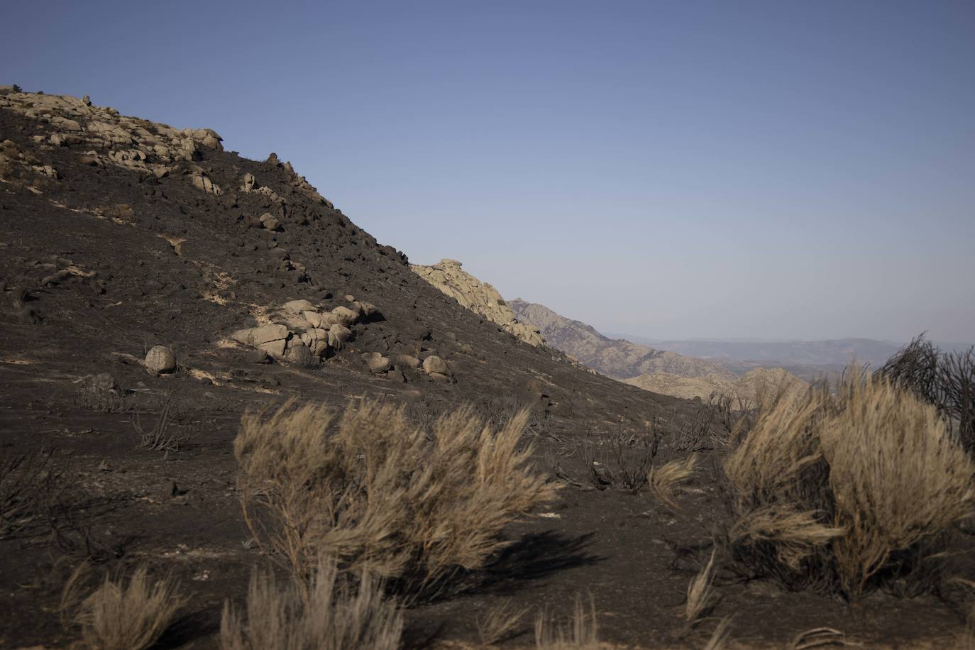 La zona afectada por el incendio de Navalacruz. 