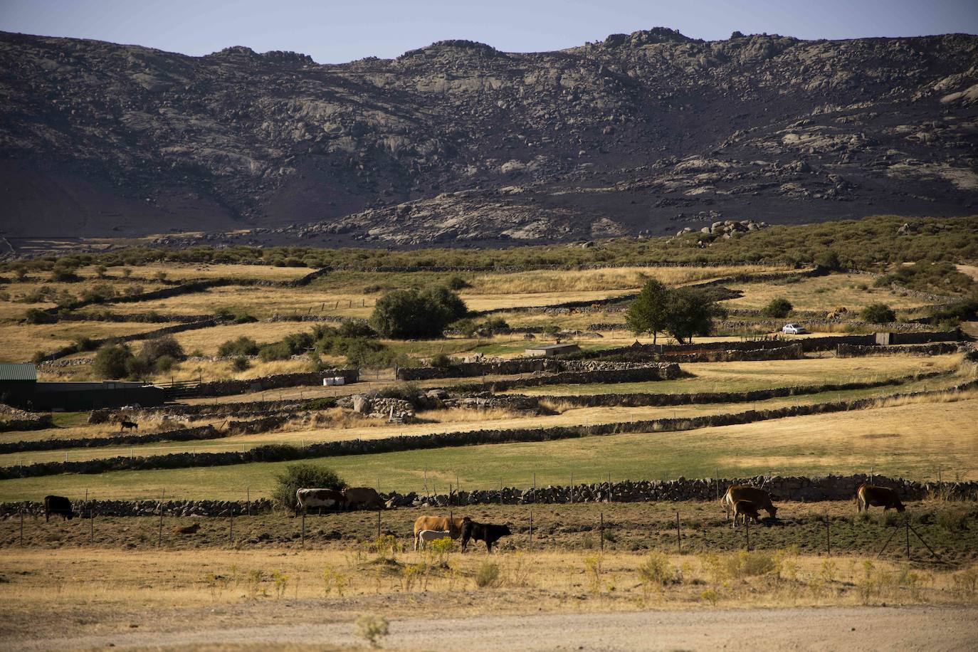 La zona afectada por el incendio de Navalacruz. 