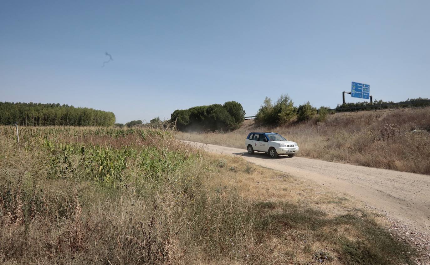 Fotos: Segunda batida para intentar encontrar al anciano desaparecido en Tordesillas