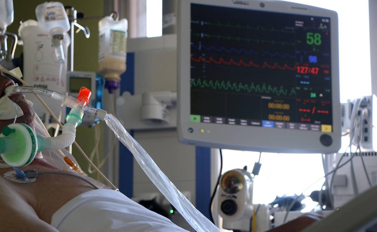 Un paciente covid en la UCI del Clínico de Valladolid. 