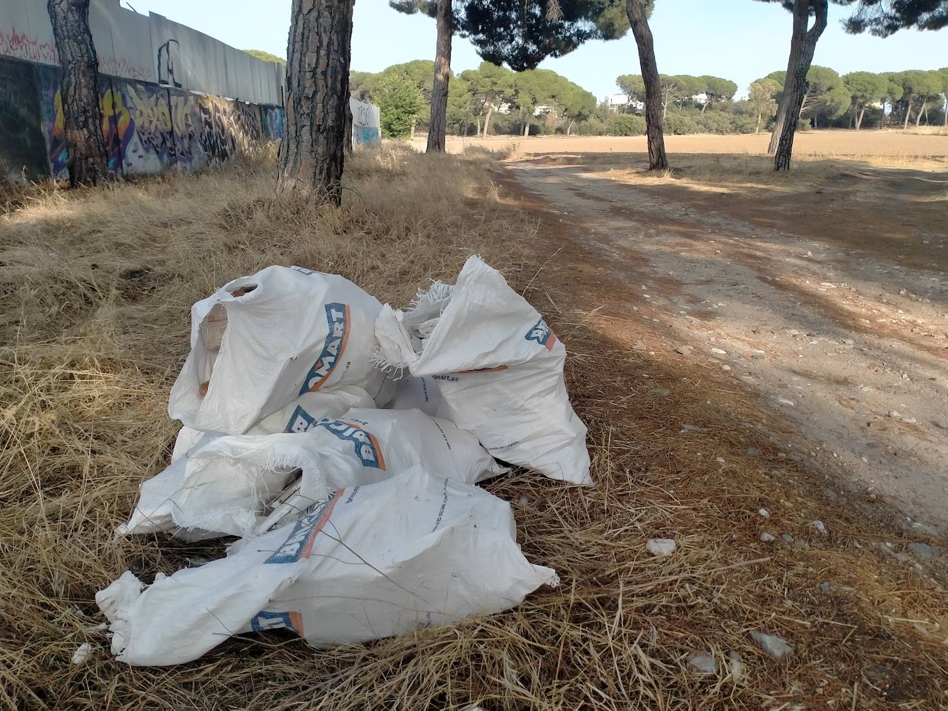 Fotos: Vertedero incontrolado en Pinar de Jalón, Valladolid