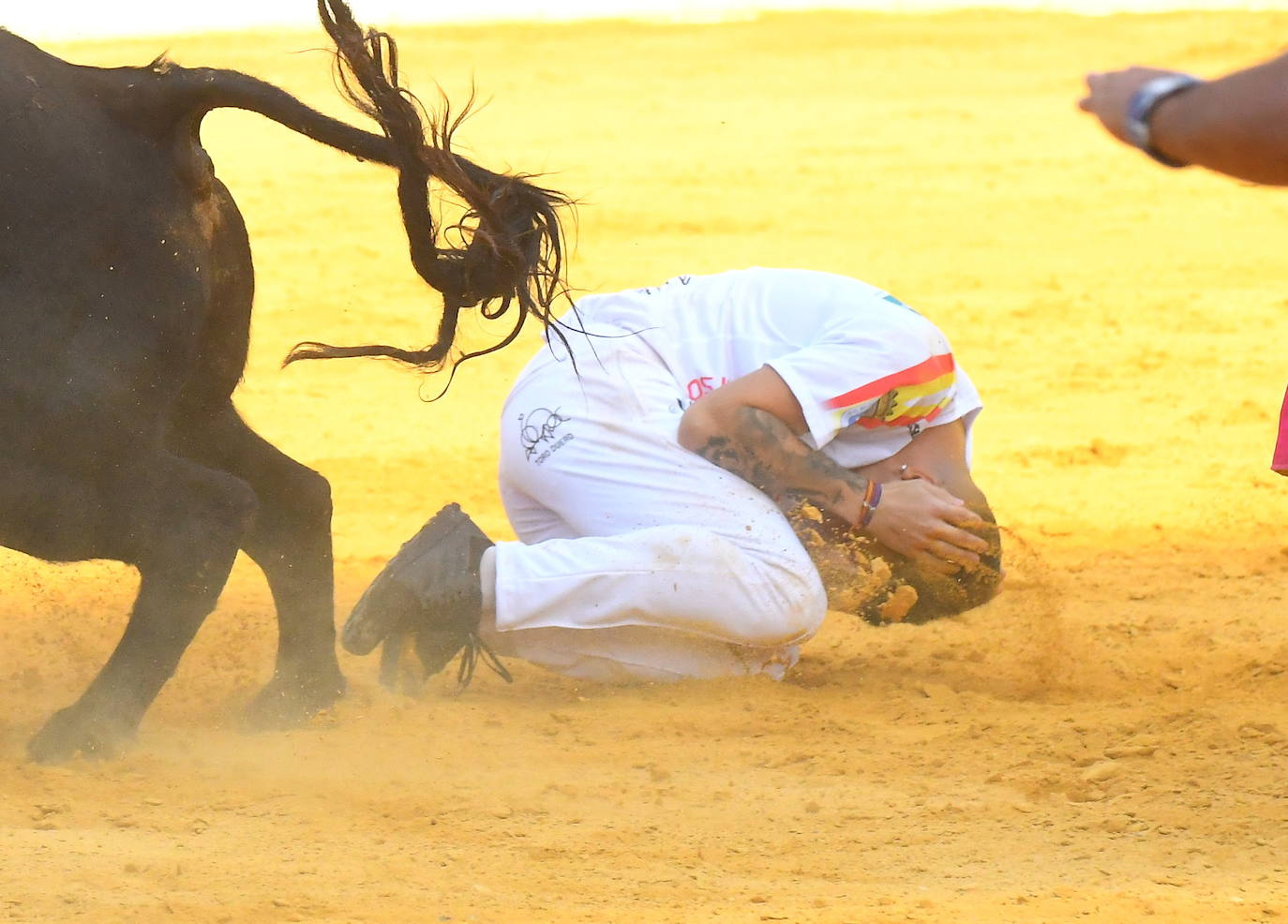 Concurso de cortes de Medina del Campo.