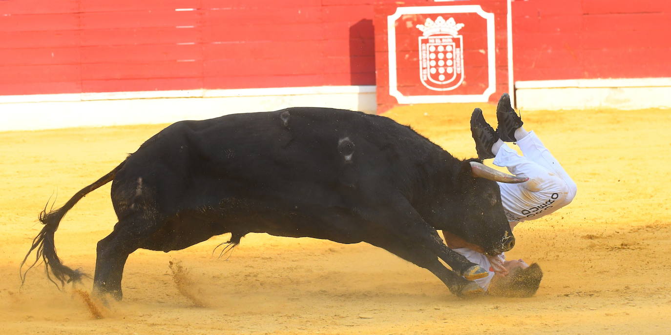 Concurso de cortes de Medina del Campo.