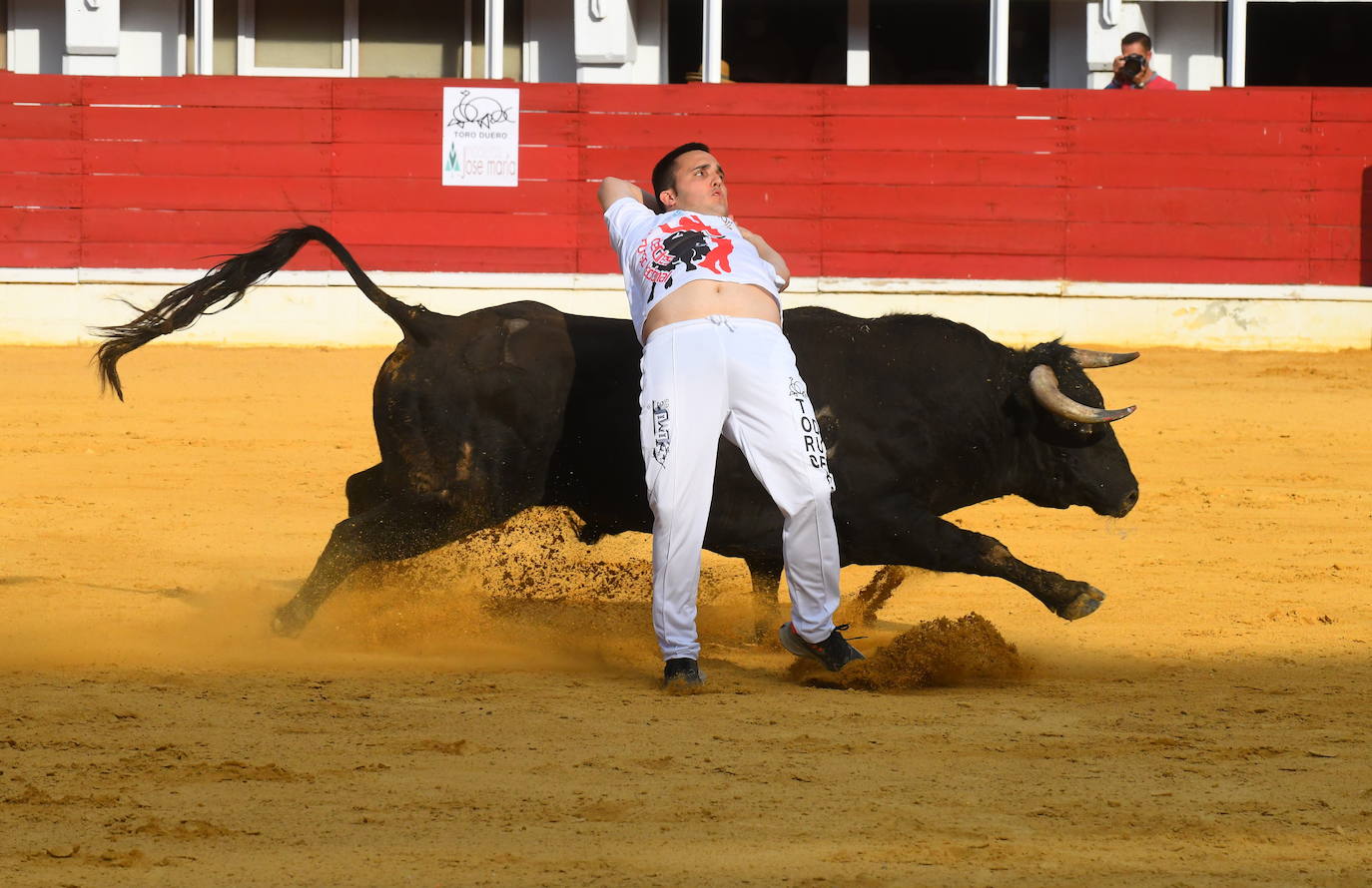 Concurso de cortes de Medina del Campo.