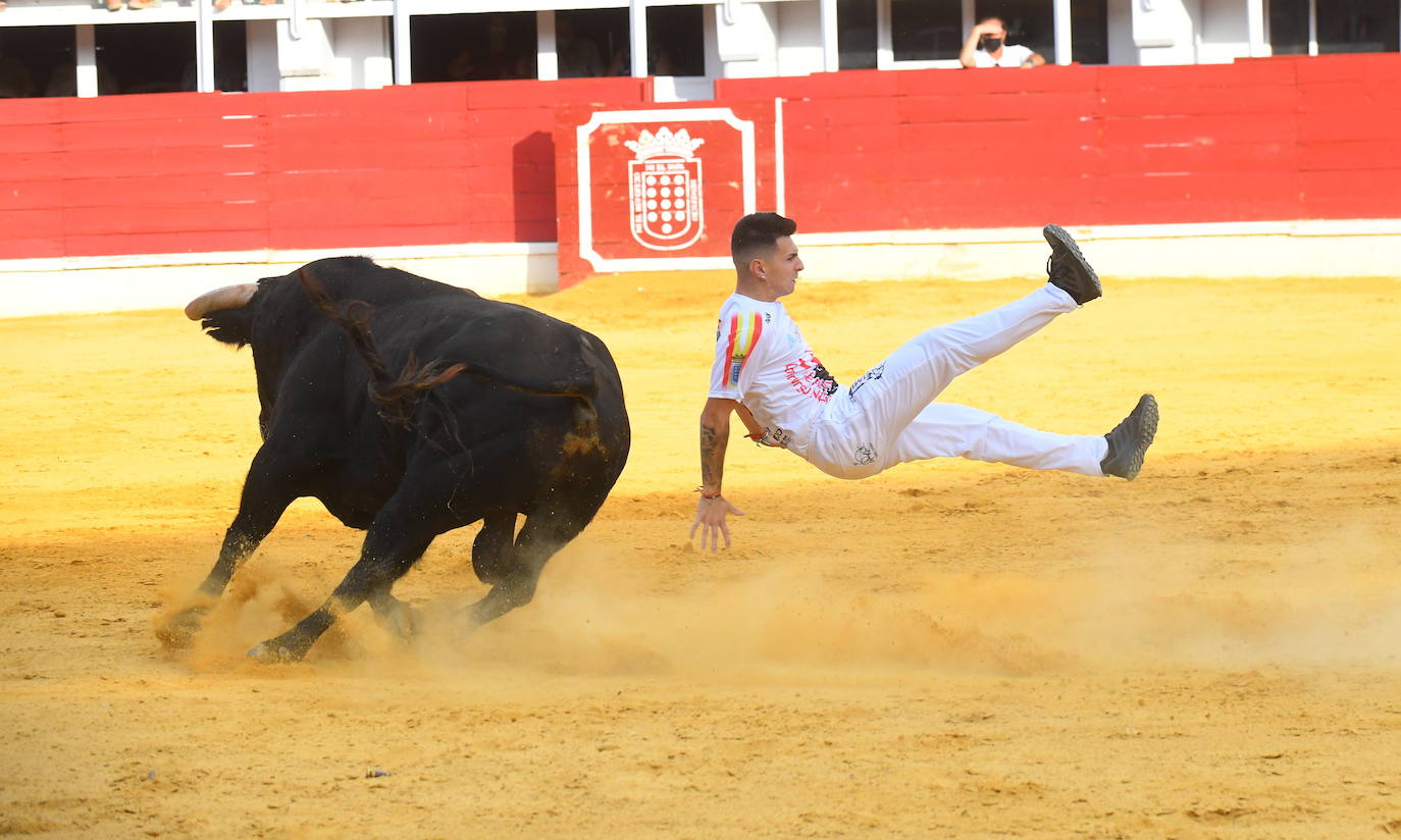 Concurso de cortes de Medina del Campo.