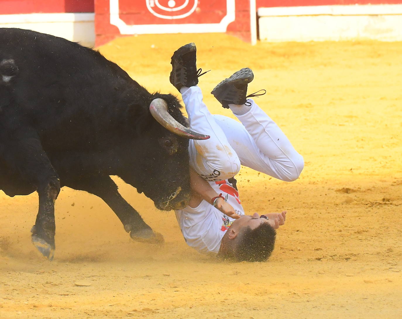 Concurso de cortes de Medina del Campo.
