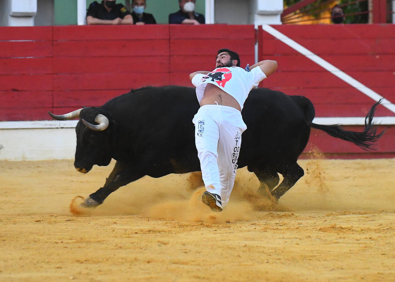 Concurso de cortes de Medina del Campo.