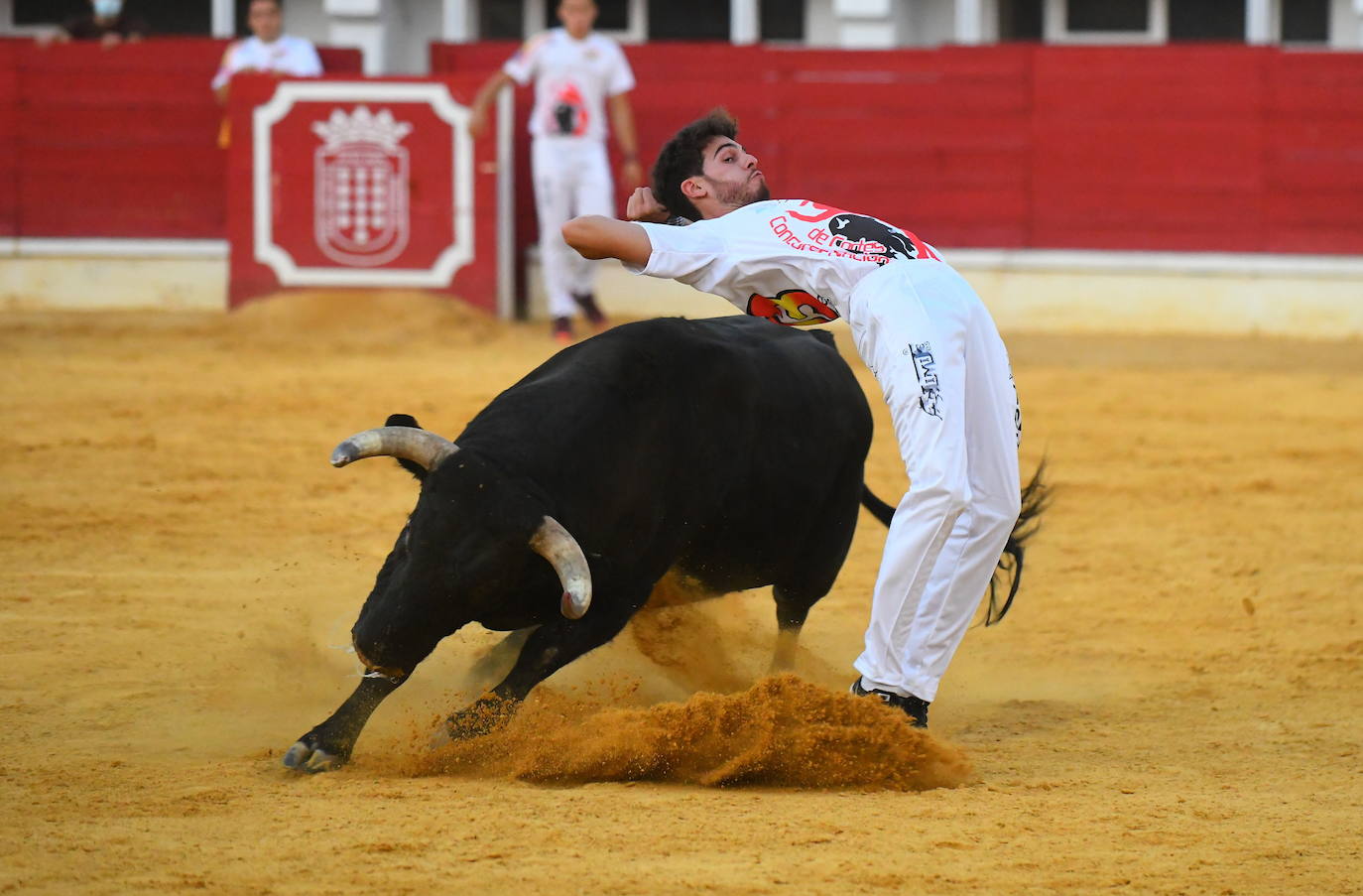 Concurso de cortes de Medina del Campo.