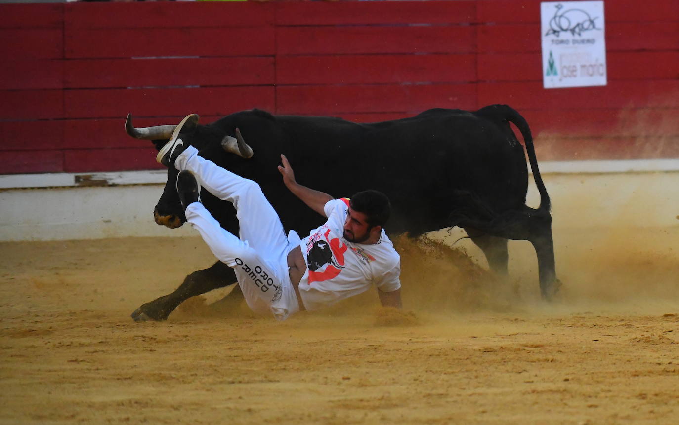 Concurso de cortes de Medina del Campo.