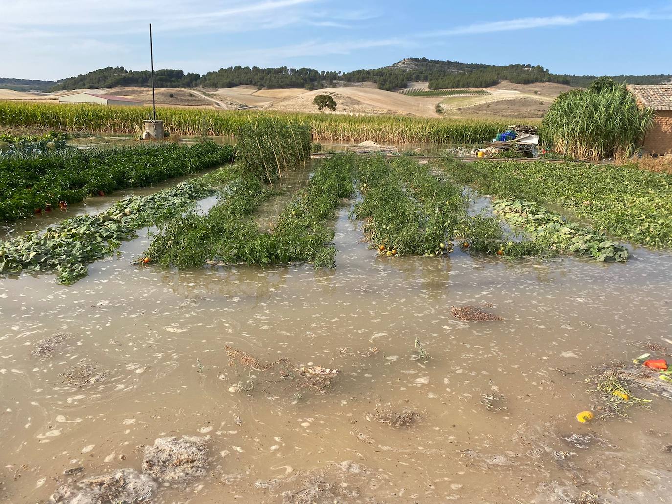 Estado de la zona afectada tras el reventón de una tubería en el canal de Riaza, en Valbuena de Duero.
