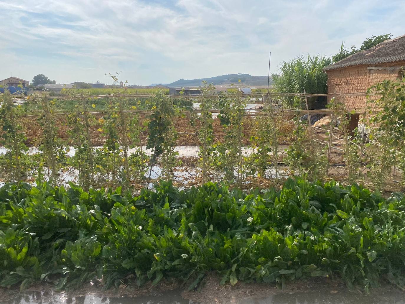 Estado de la zona afectada tras el reventón de una tubería en el canal de Riaza, en Valbuena de Duero.