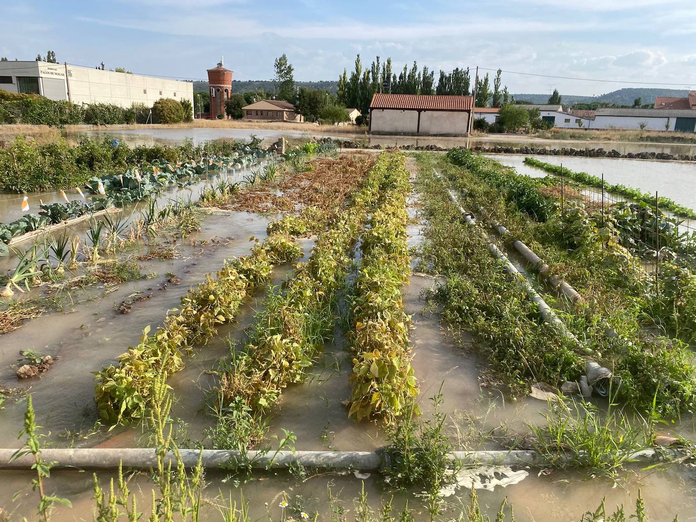 Estado de la zona afectada tras el reventón de una tubería en el canal de Riaza, en Valbuena de Duero.