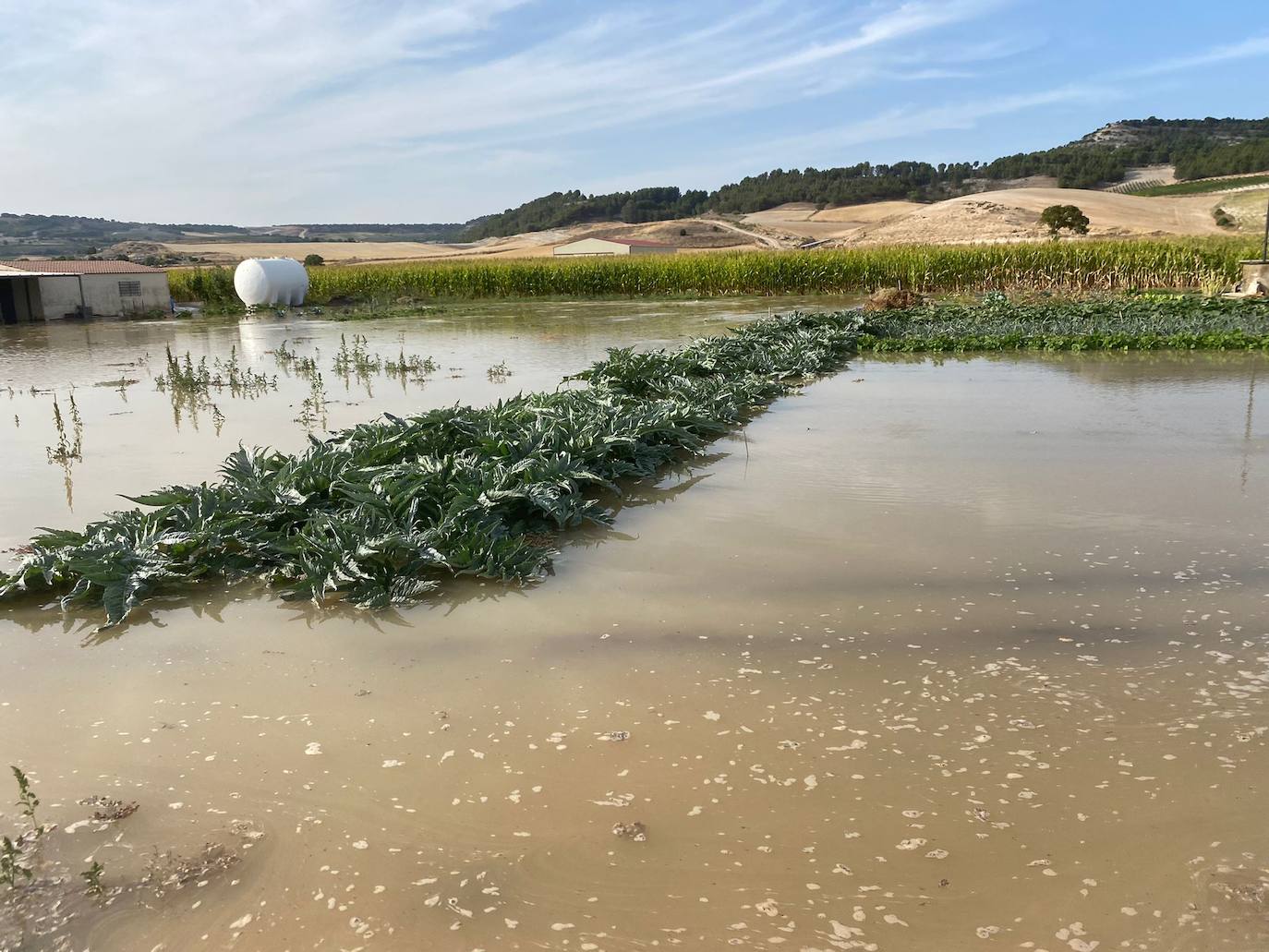 Estado de la zona afectada tras el reventón de una tubería en el canal de Riaza, en Valbuena de Duero.
