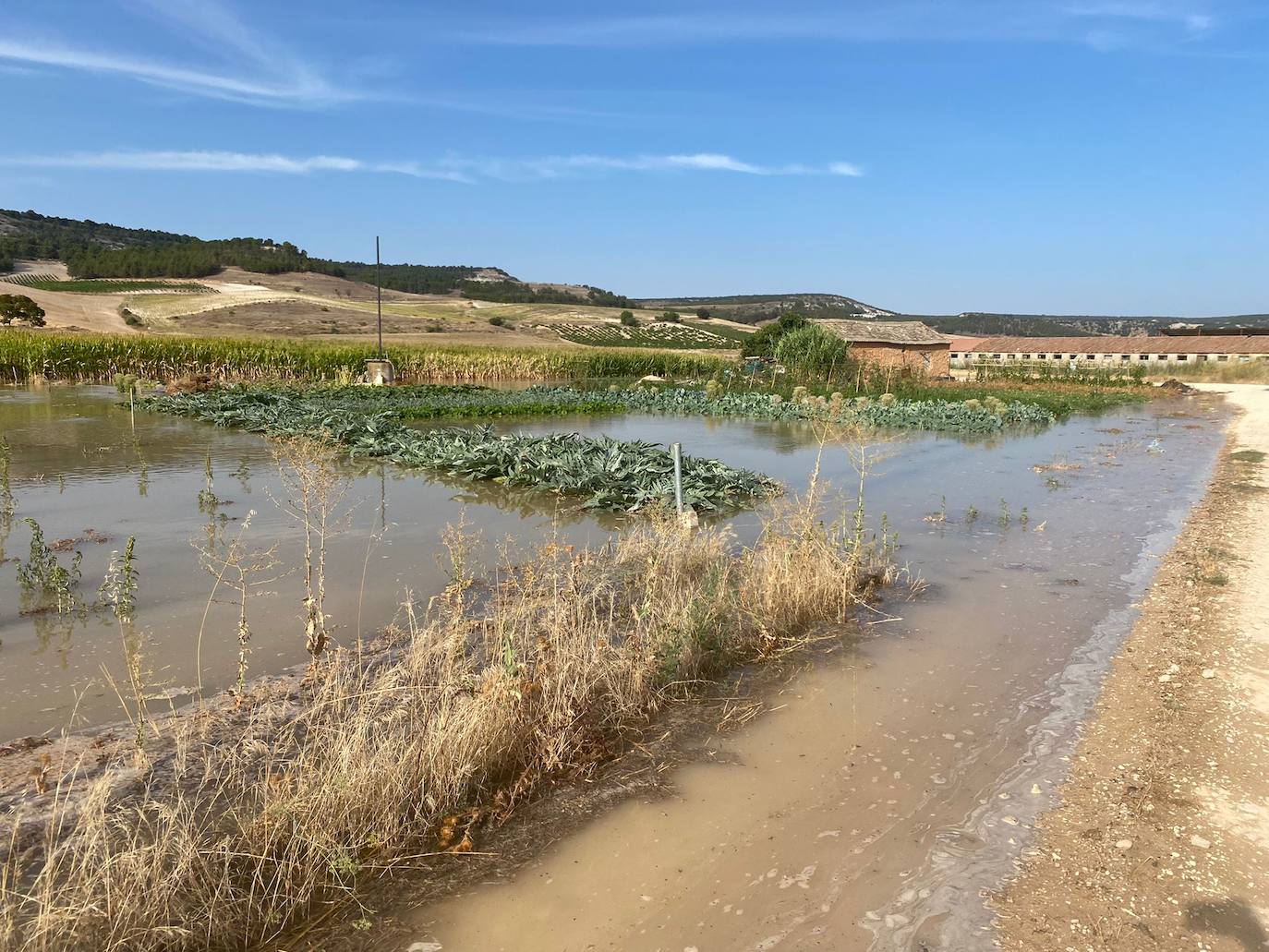 Estado de la zona afectada tras el reventón de una tubería en el canal de Riaza, en Valbuena de Duero.