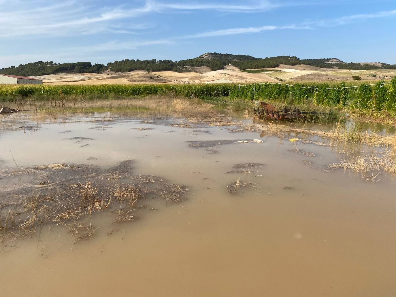Estado de la zona afectada tras el reventón de una tubería en el canal de Riaza, en Valbuena de Duero.