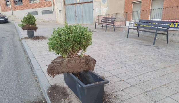 Jardineras arrancadas este fin de semana en Zaratán.