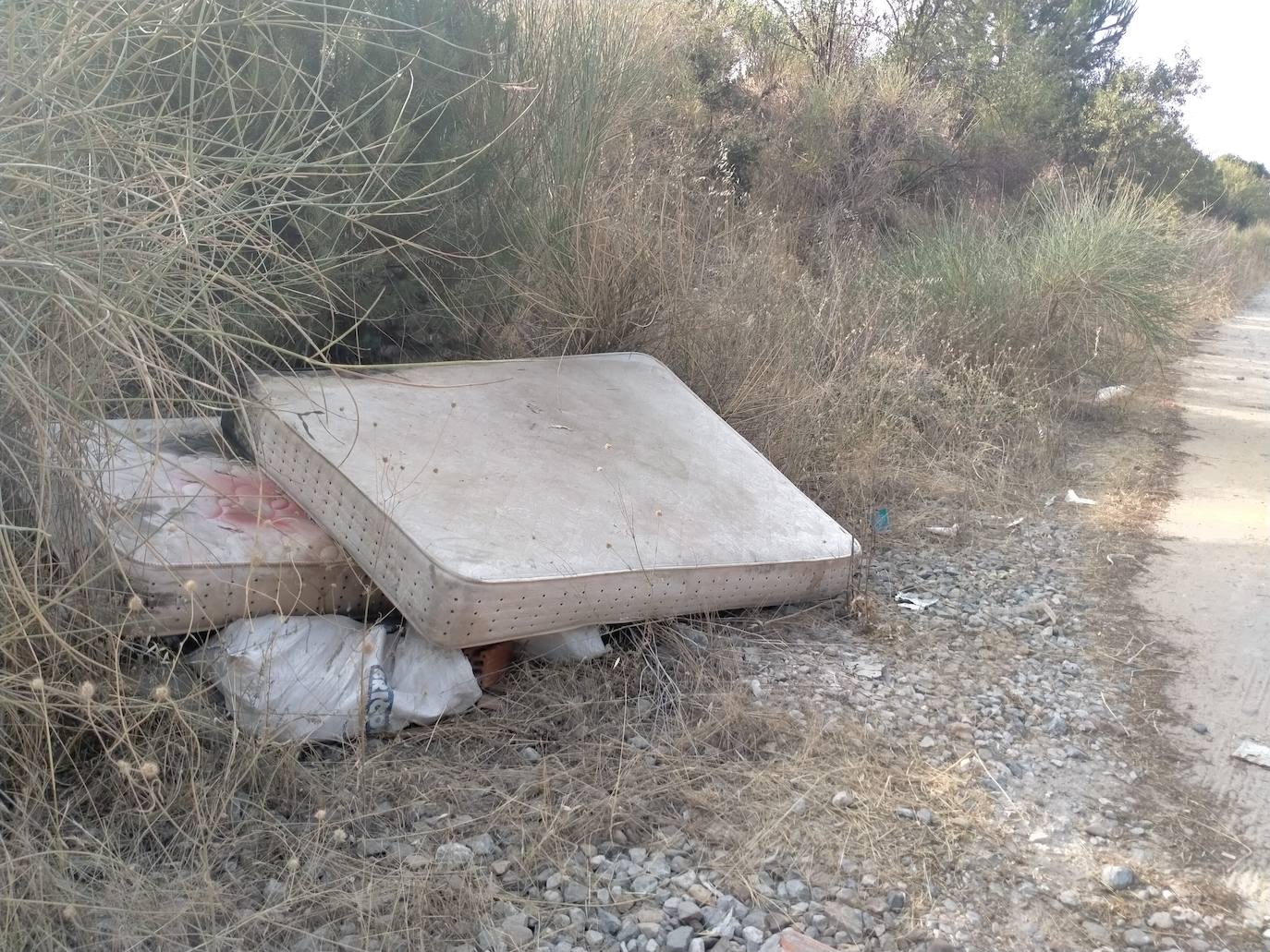 Imagen secundaria 2 - Restos de basura en el entorno de Pinar de Jalón. 