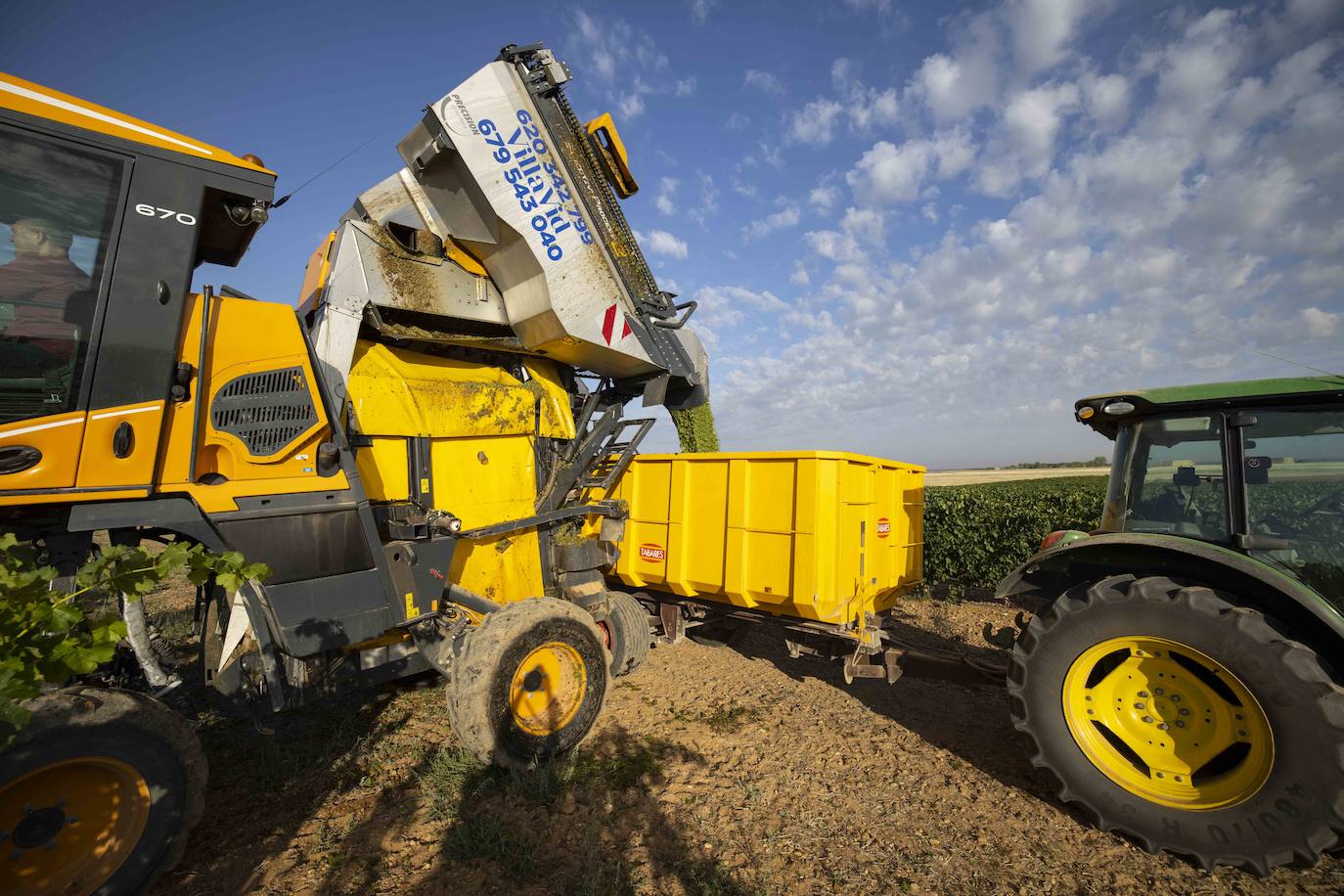 Fotos: Primera vendimia en la provincia de Valladolid