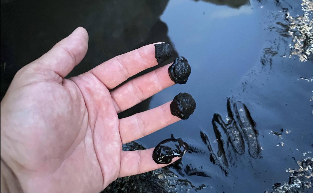 Las aguas del río Mayor se tiñen de negro tras el incendio de Navalacruz