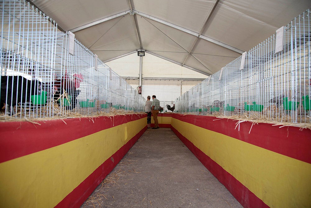 Salamaq, primera gran feria agrícola y ganadera que retoma la actividad tras la pandemia