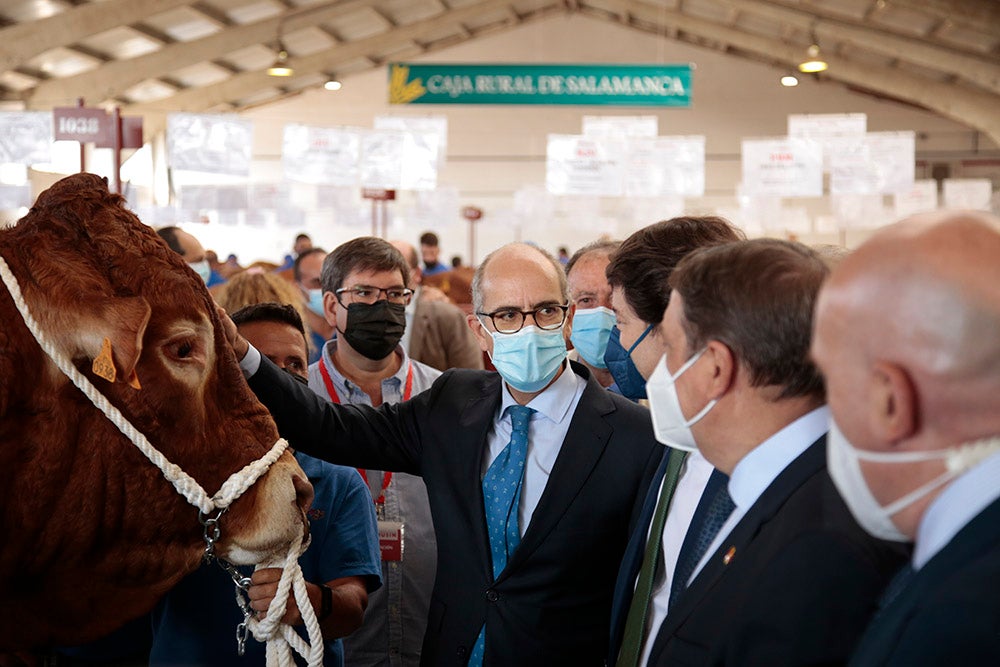 Salamaq, primera gran feria agrícola y ganadera que retoma la actividad tras la pandemia