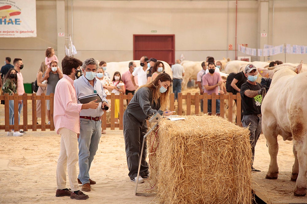 Salamaq, primera gran feria agrícola y ganadera que retoma la actividad tras la pandemia