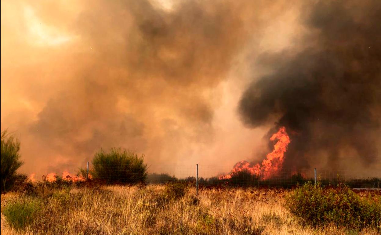 Incendio en Muelas del Pan. 