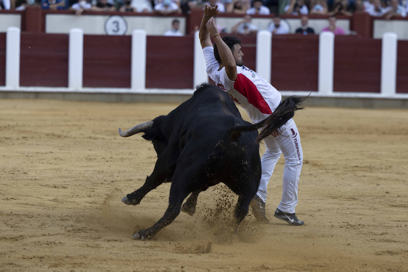 Fotos: Cortes. Liga del Corte Puro en la Plaza de Toros de Valladolid