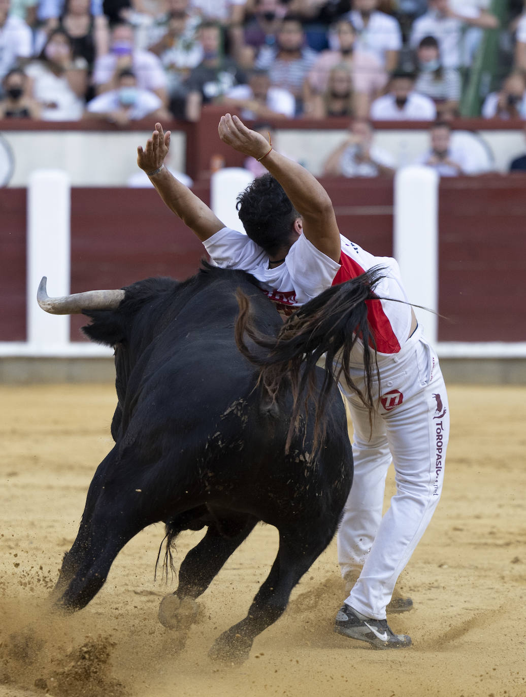 Fotos: Cortes. Liga del Corte Puro en la Plaza de Toros de Valladolid