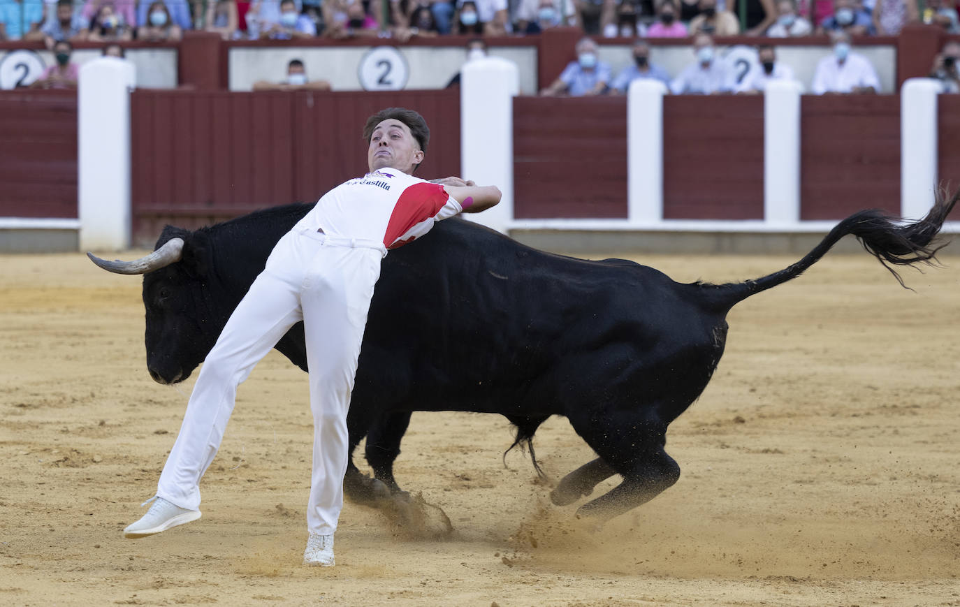 Fotos: Cortes. Liga del Corte Puro en la Plaza de Toros de Valladolid