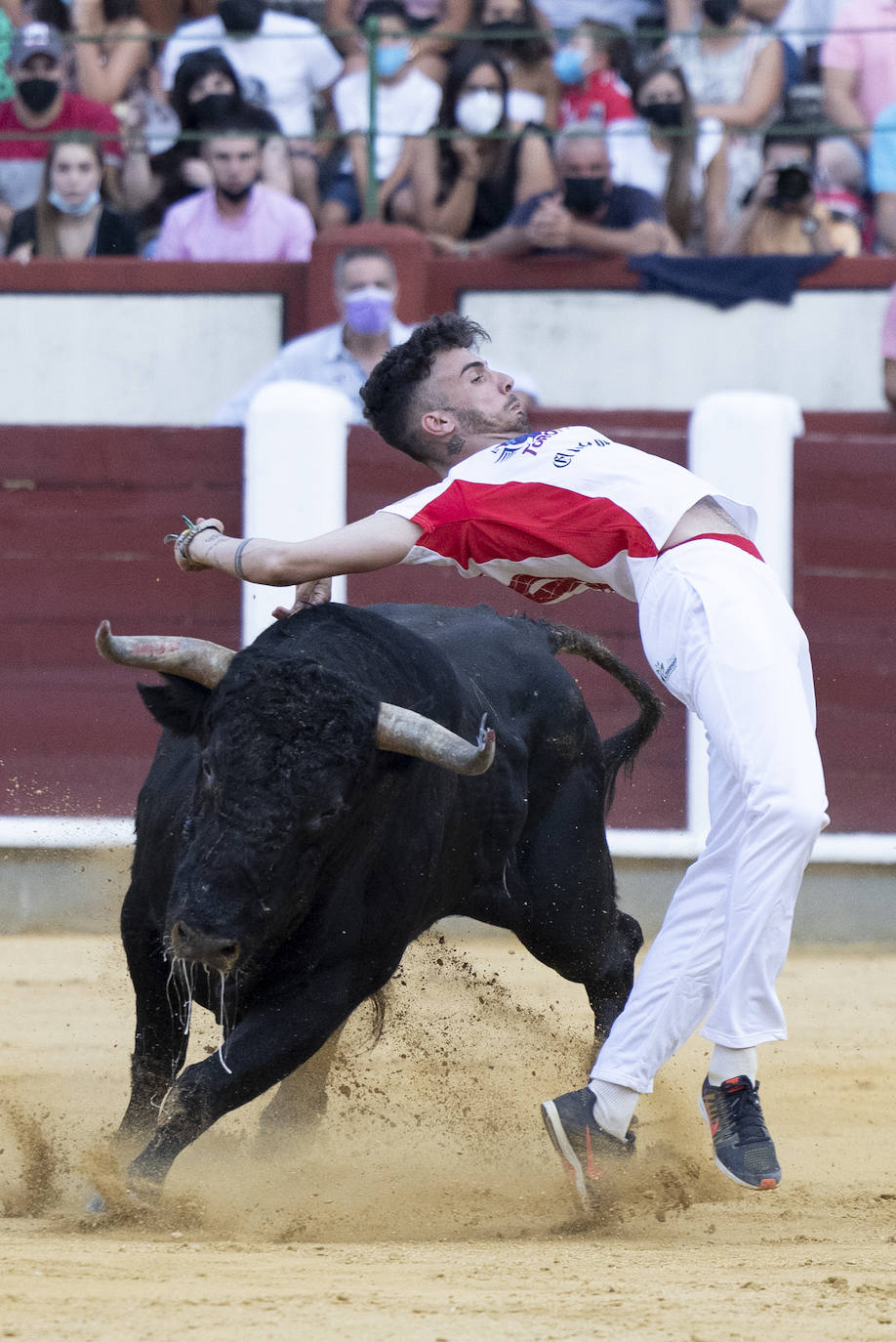 Fotos: Cortes. Liga del Corte Puro en la Plaza de Toros de Valladolid