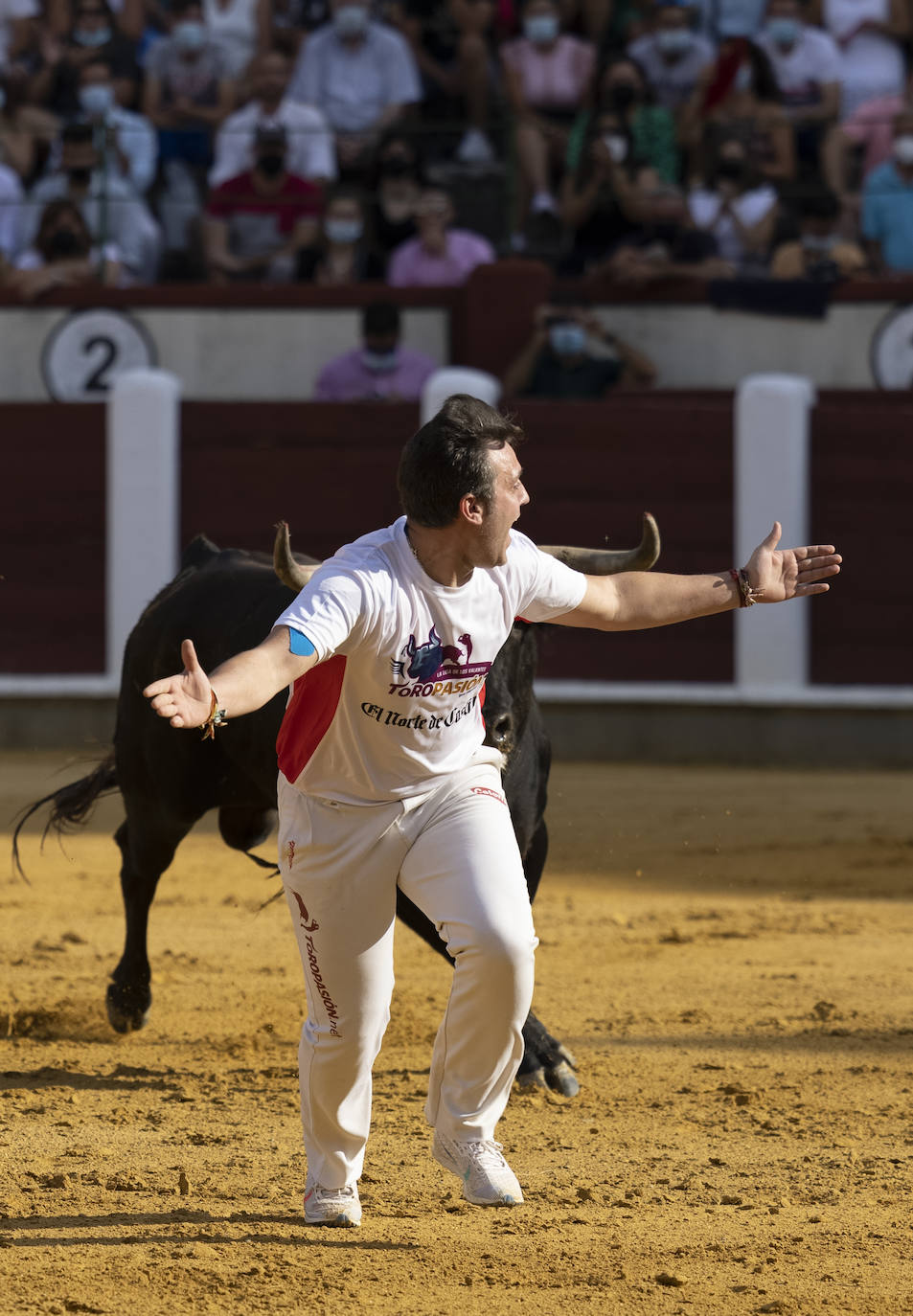 Fotos: Cortes. Liga del Corte Puro en la Plaza de Toros de Valladolid