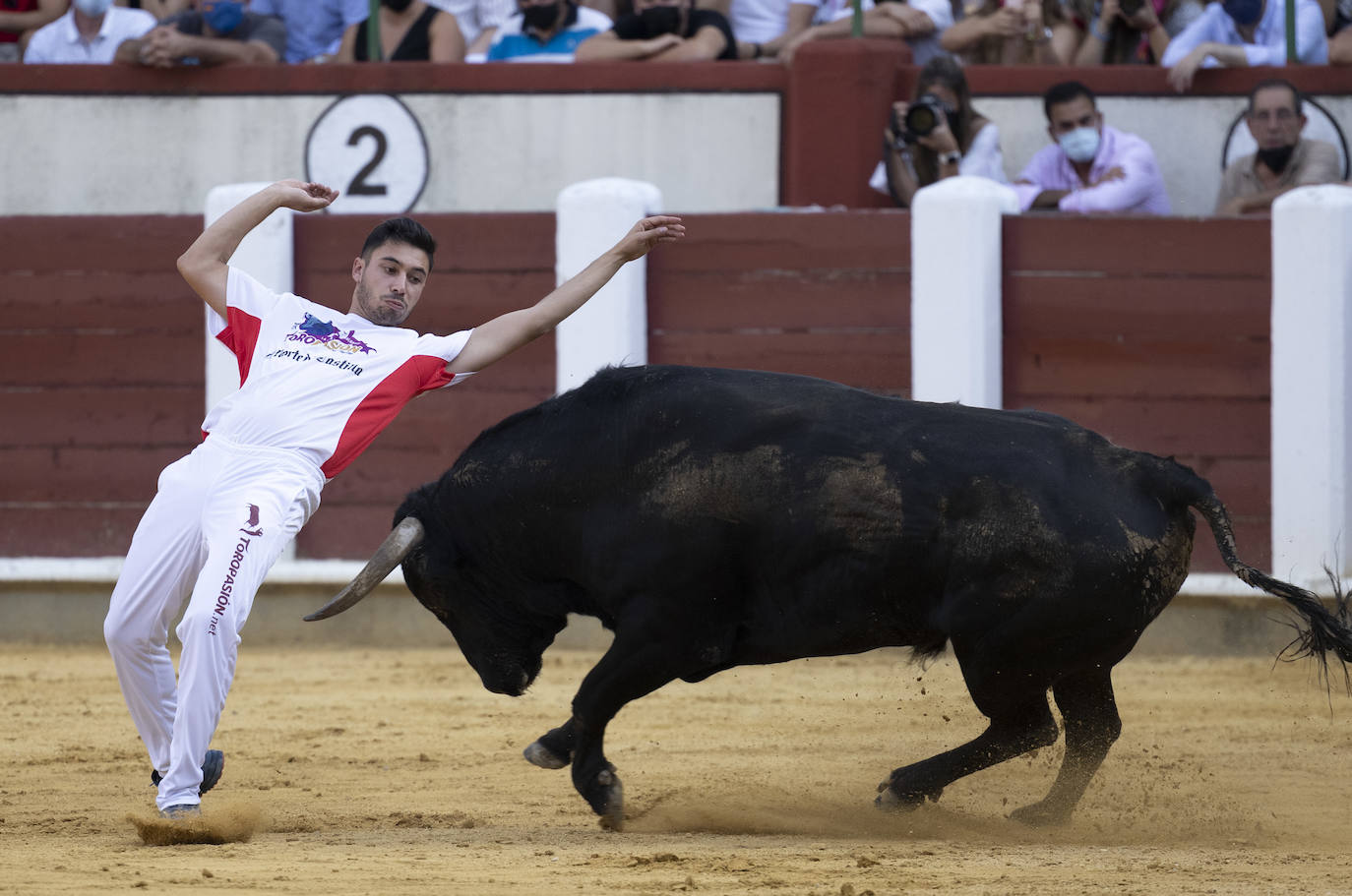 Fotos: Cortes. Liga del Corte Puro en la Plaza de Toros de Valladolid