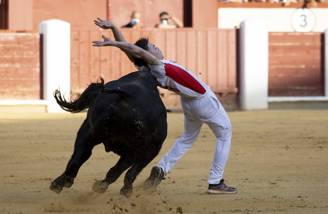 Fotos: Cortes. Liga del Corte Puro en la Plaza de Toros de Valladolid