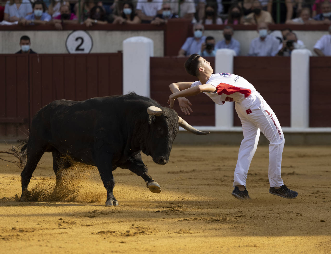 Fotos: Cortes. Liga del Corte Puro en la Plaza de Toros de Valladolid