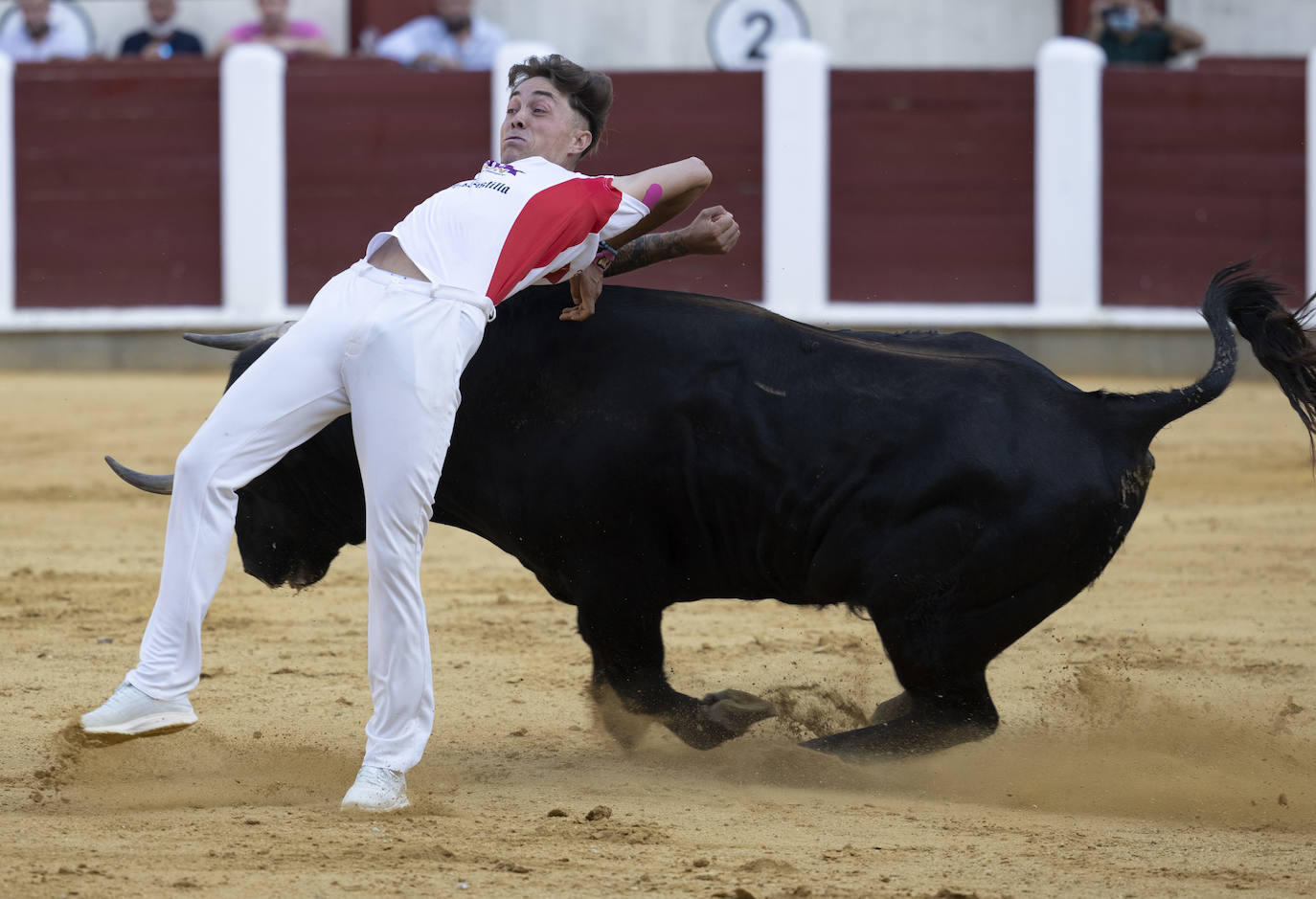 Fotos: Cortes. Liga del Corte Puro en la Plaza de Toros de Valladolid