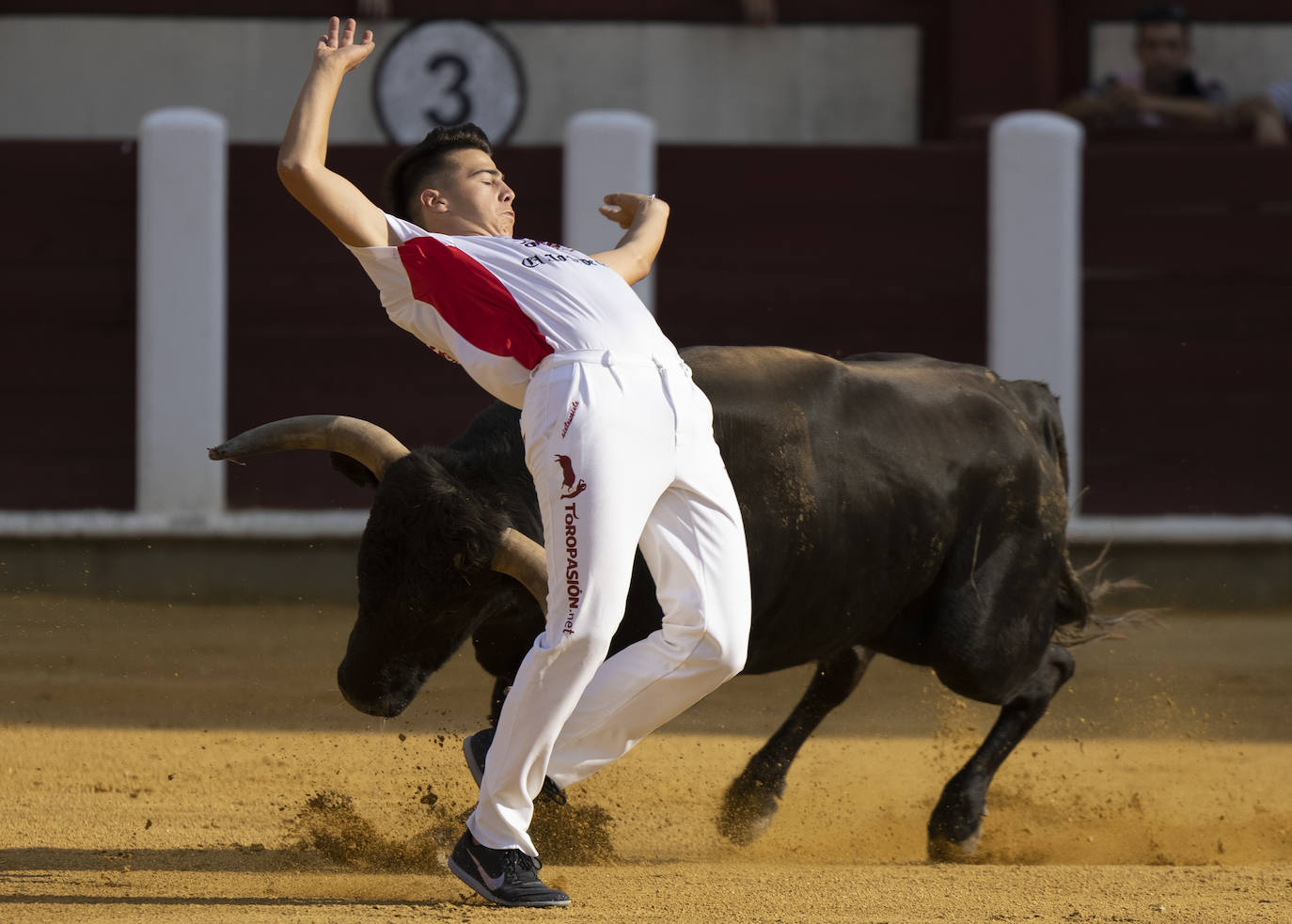 Fotos: Cortes. Liga del Corte Puro en la Plaza de Toros de Valladolid