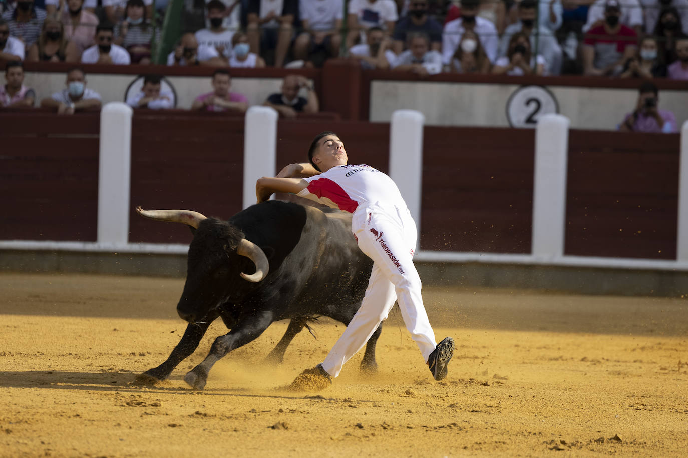 Fotos: Cortes. Liga del Corte Puro en la Plaza de Toros de Valladolid