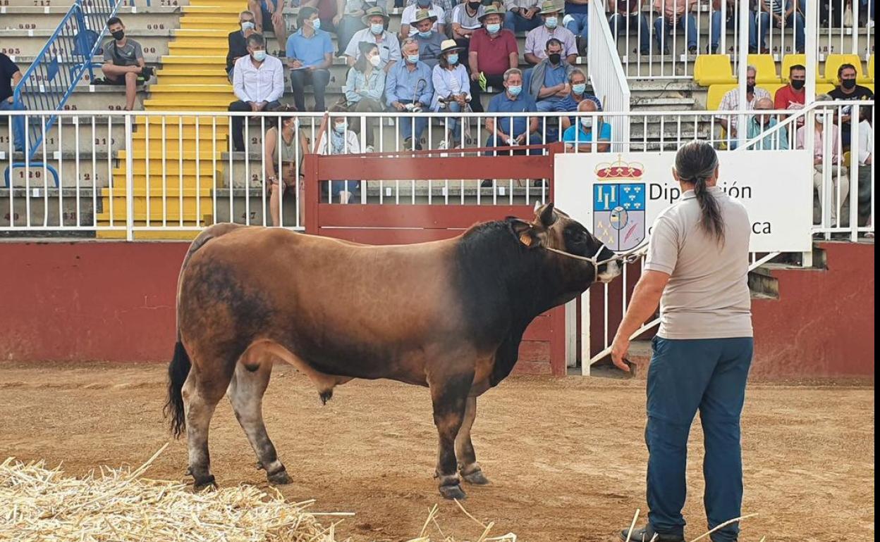 La Subasta Nacional de Ganado Vacuno se convierte en pionera en puja on line en directo