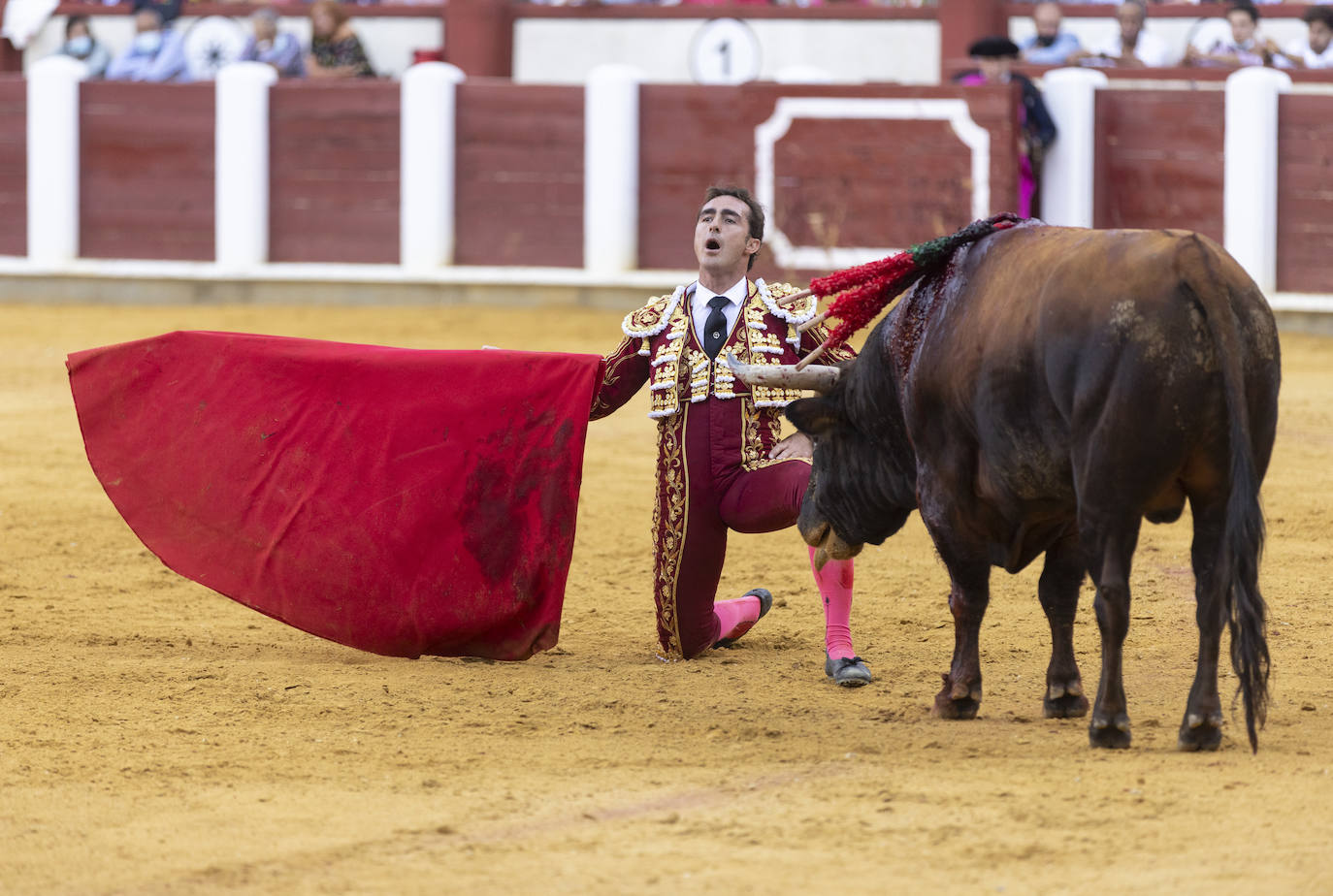 Primera corrida de la Feria Taurina de Valladolid.