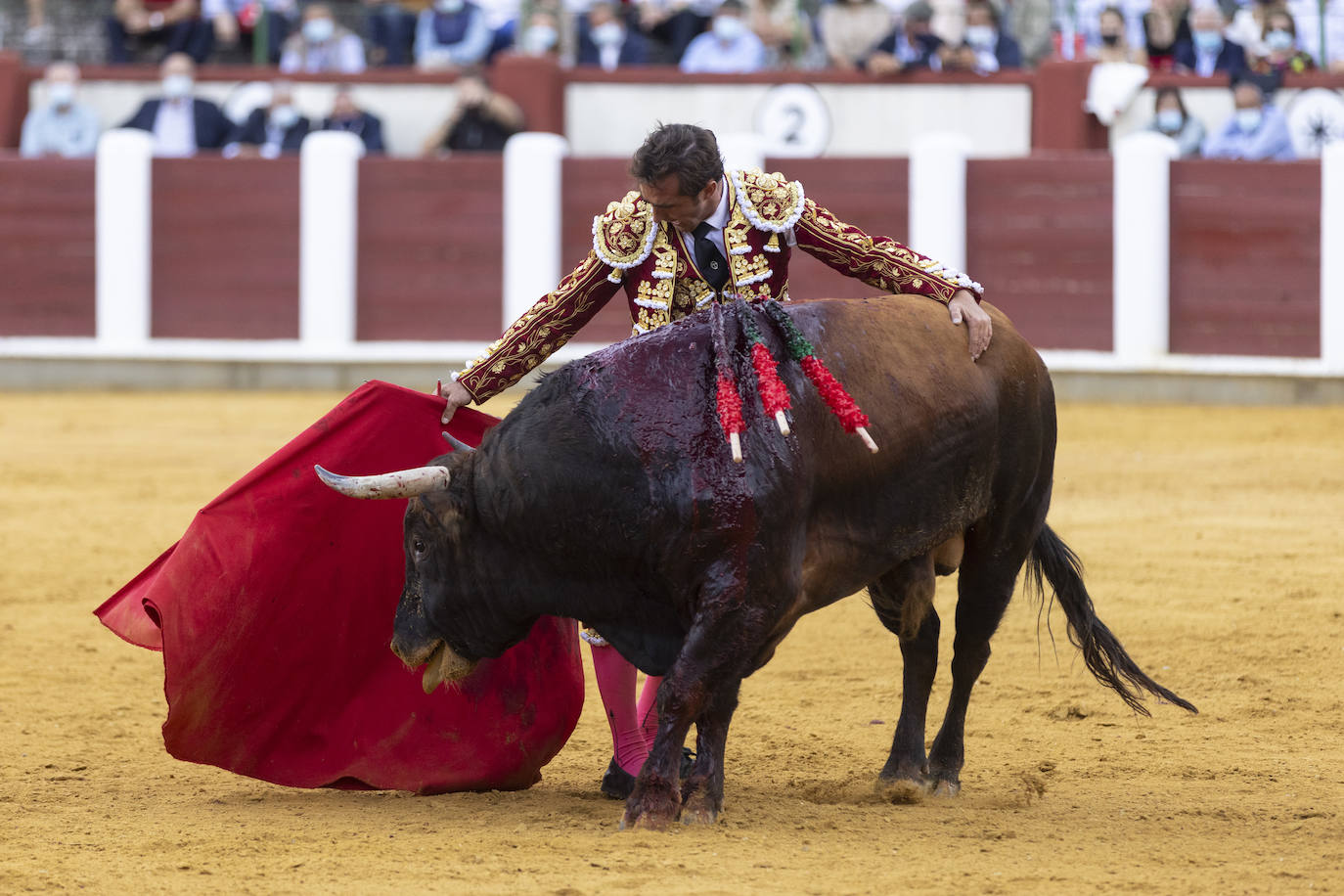 Primera corrida de la Feria Taurina de Valladolid.