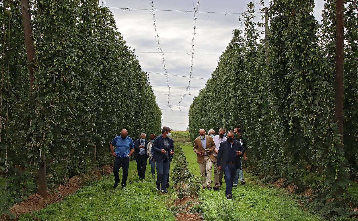Carnero, durante su visita a una explotación de lúpulo en León, junto a representantes agrarios y cultivadores.