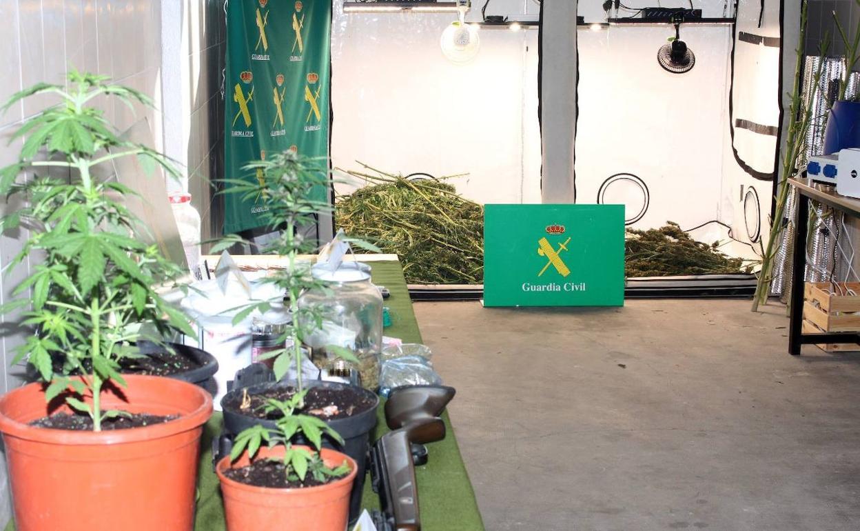 La droga incautadas por la Guardia Civil. 