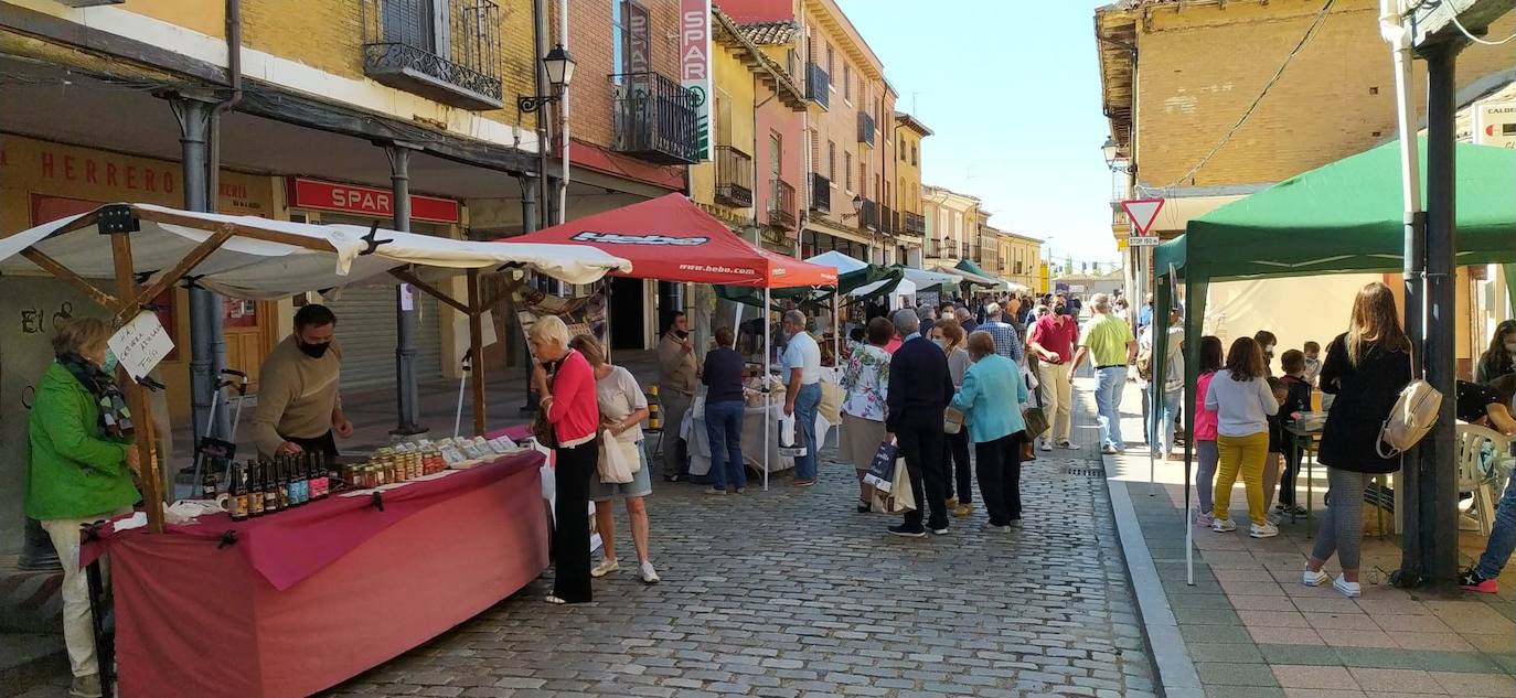 Mercado del Queso de Villalón de Campos.