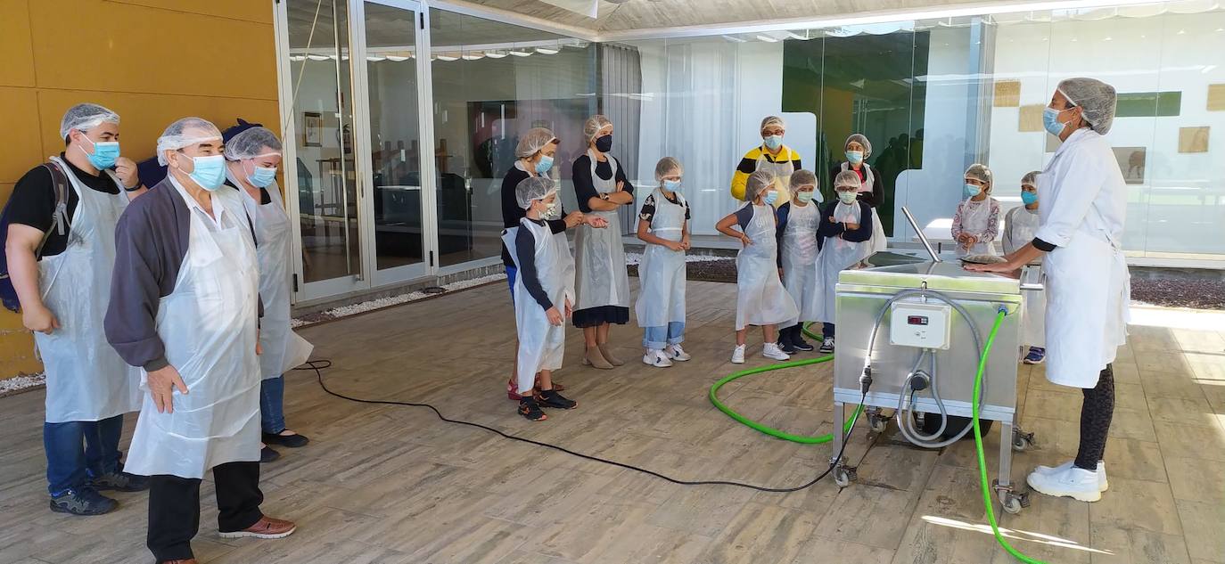 Mercado del Queso de Villalón de Campos.