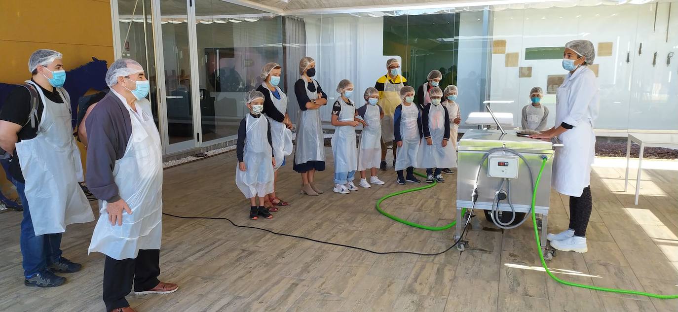 Mercado del Queso de Villalón de Campos.