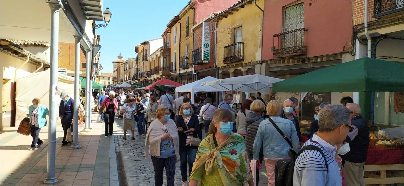 Mercado del Queso de Villalón de Campos.
