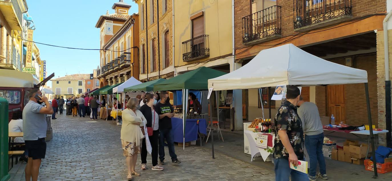 Mercado del Queso de Villalón de Campos.