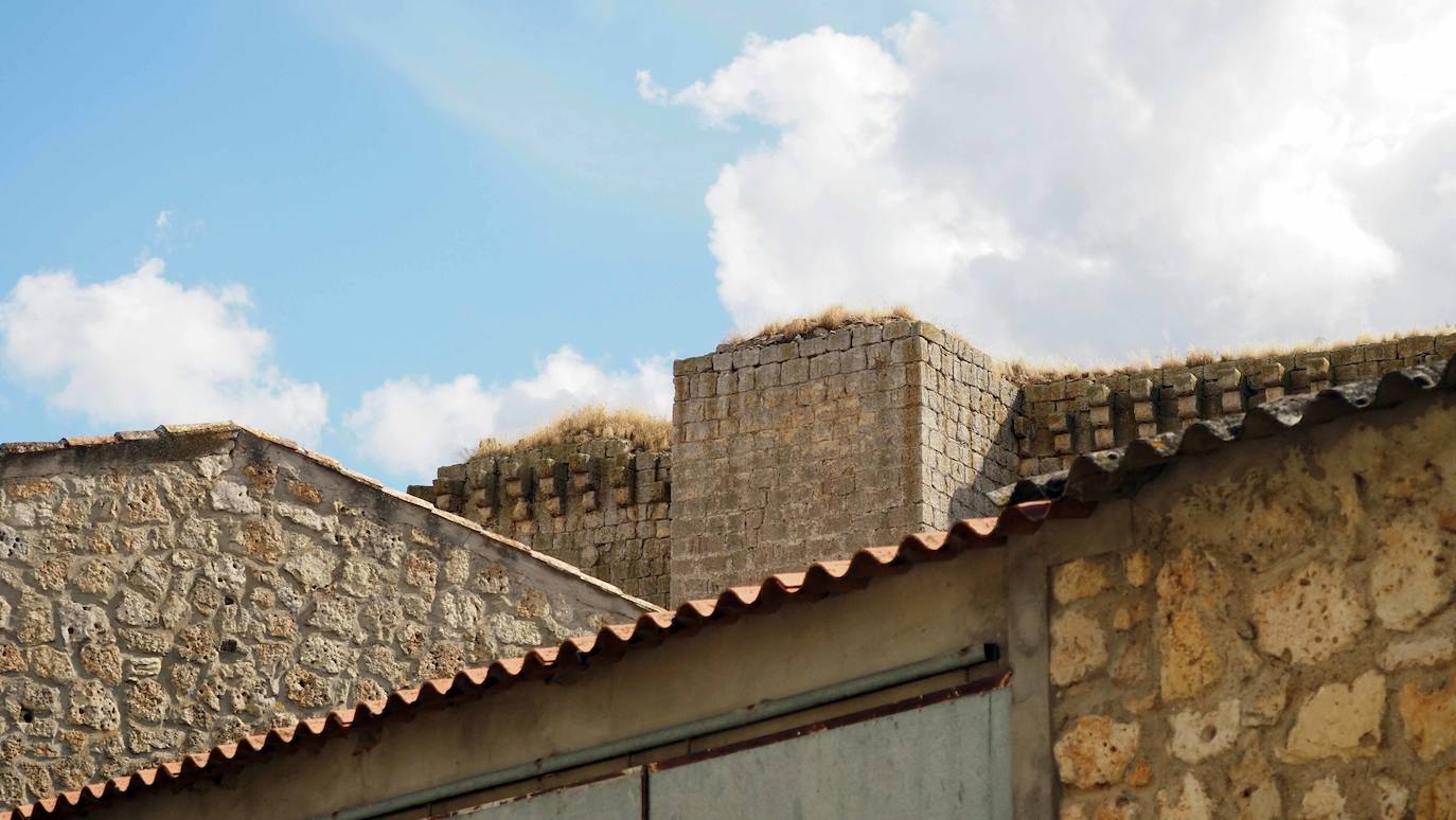 Detalles de la fortificación que visitamos esta semana