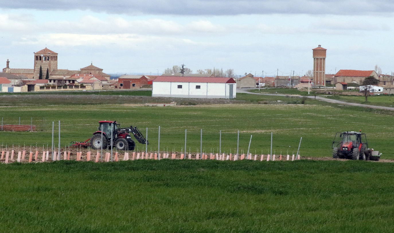 Tractores en un campo de la provincia de Segovia.